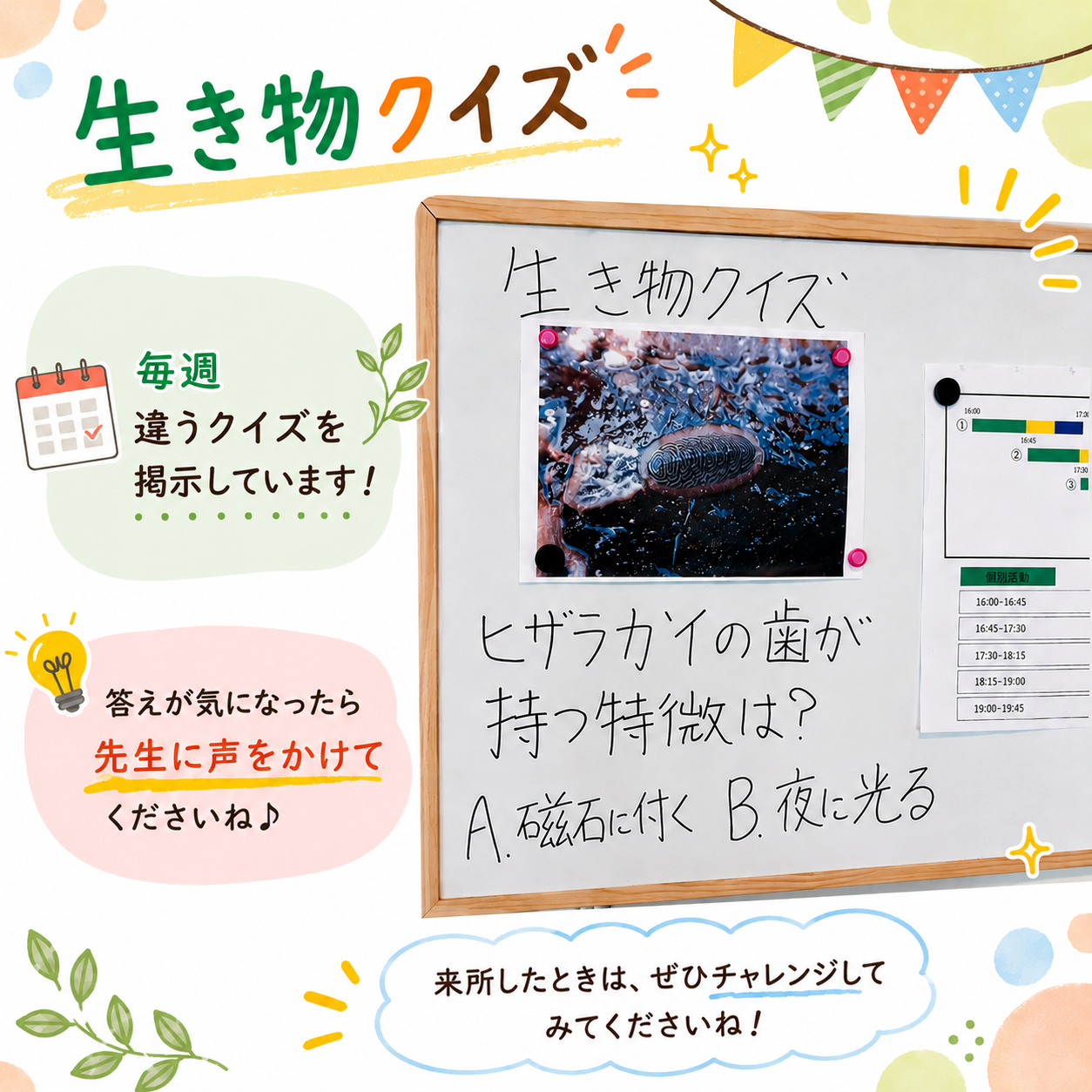 生き物クイズです！